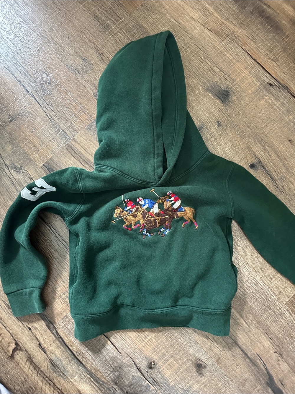 Polo by Ralph Lauren Dark Green Kids Hoodie with Embroidered Polo Players